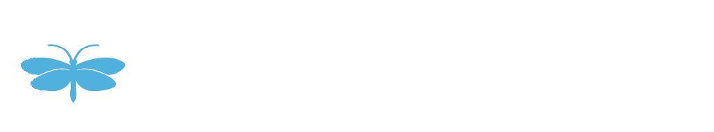 Caddis Systems logo